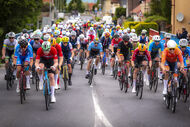Course de la Paix Juniors / Závod míru juniorů 2025